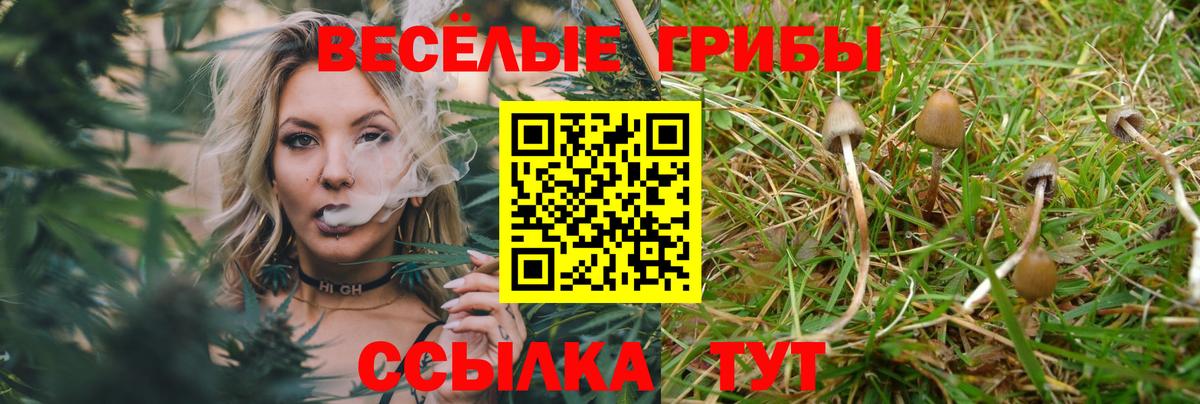 Псилоцибиновые грибы мухоморы  Вход с VPN  магазин  наркотиков  Когалым 